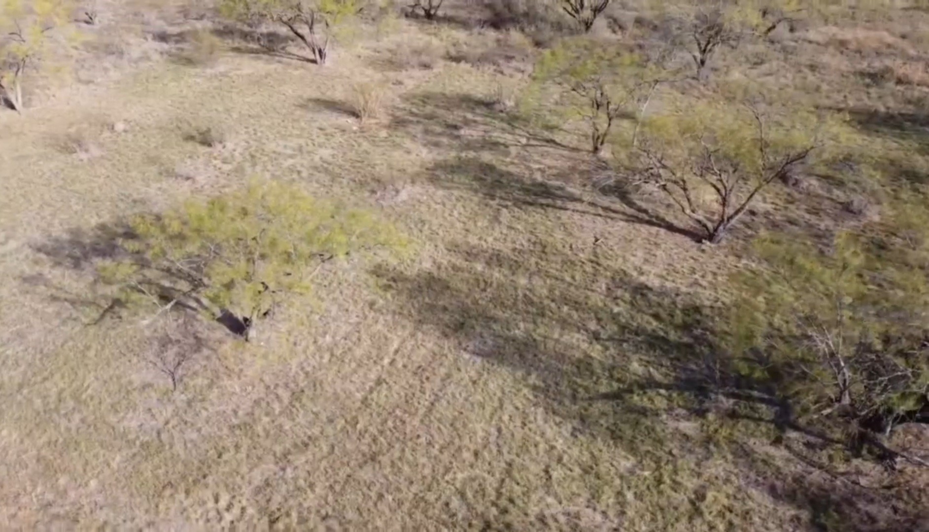 Land in Brownwood 3