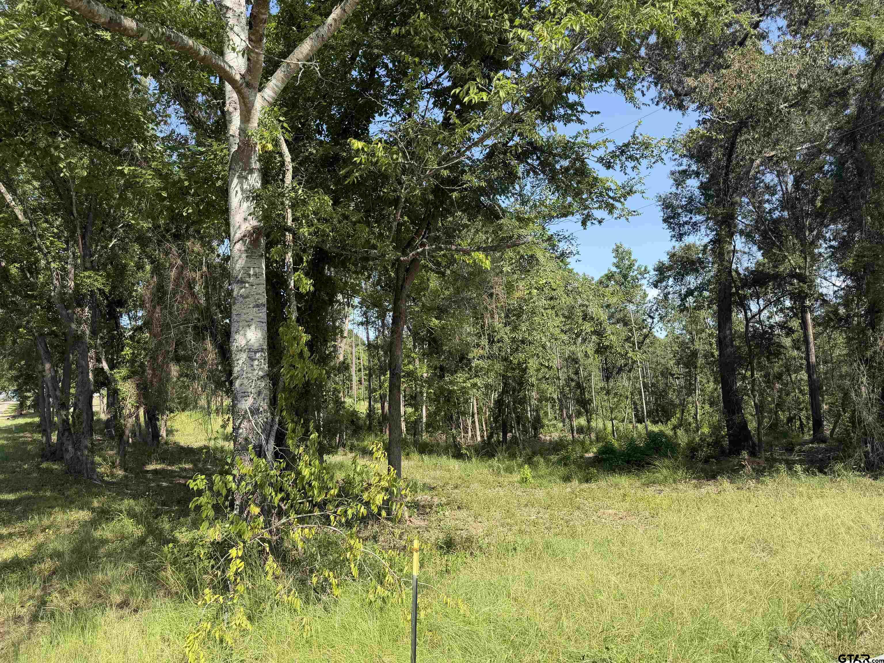 Land in Jacksonville