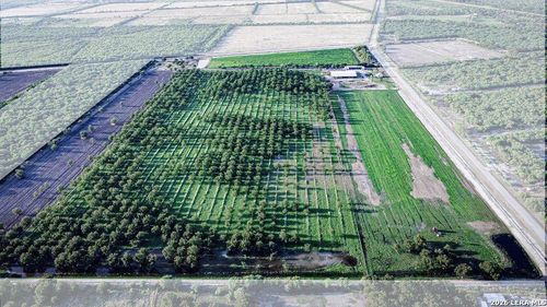 LOT D Fm 1908, Quemado, TX, 78877 | Card Image
