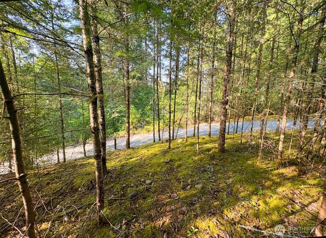 19620 199 Th St E, Home with 0 bedrooms, 0 bathrooms and null parking in Orting WA | Image 6