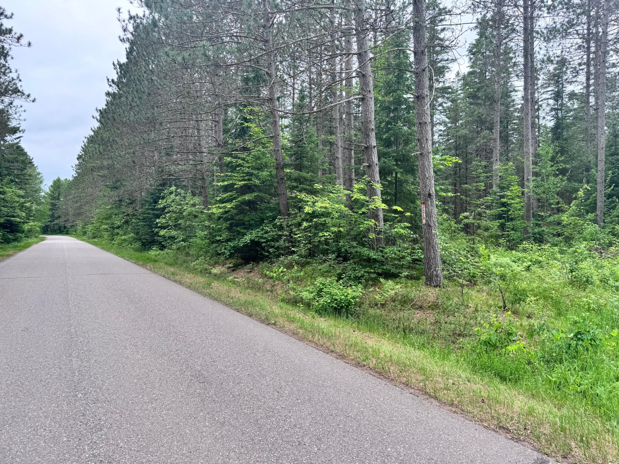 Land in Minocqua 2