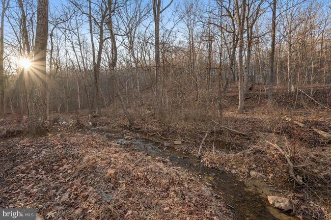 LOT 4 Back Creek Rd, Home with 0 bedrooms, 0 bathrooms and null parking in GORE VA | Image 6