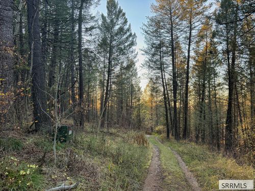 185 W 12250 N, Tetonia, ID, 83424 | Card Image