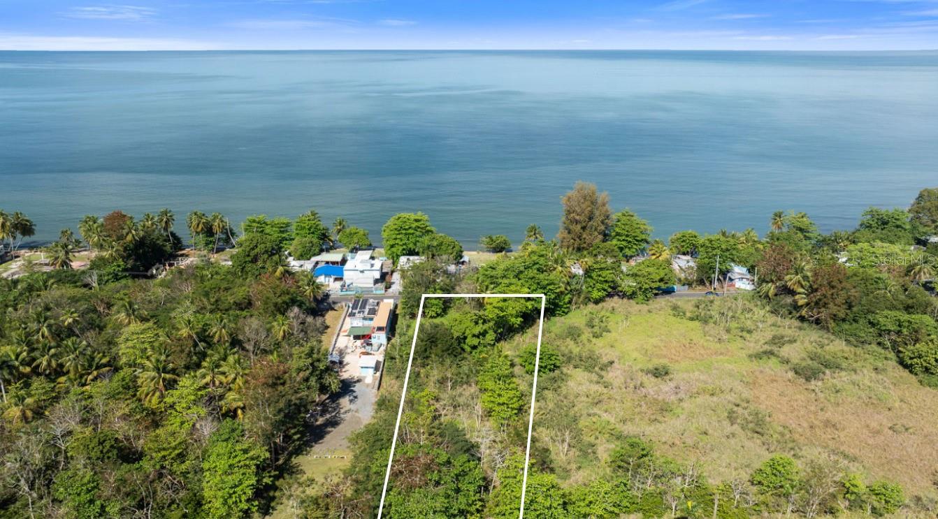 Land in CABO ROJO