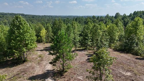 0 Freedom Ridge, Indian Mound, TN, 37079 | Card Image