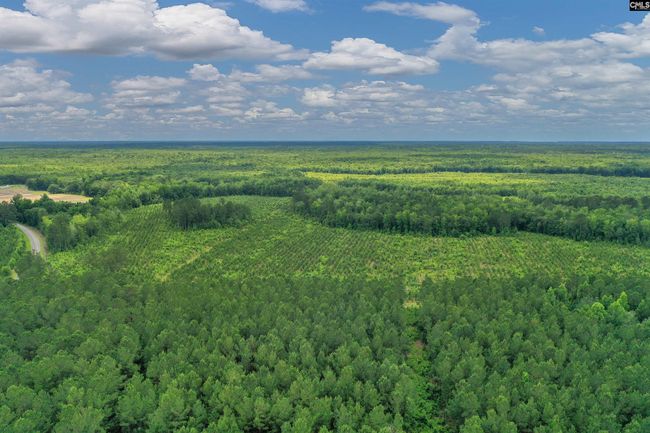 0000 N Brewington Rd, Home with 0 bedrooms, 0 bathrooms and null parking in Manning SC | Image 12