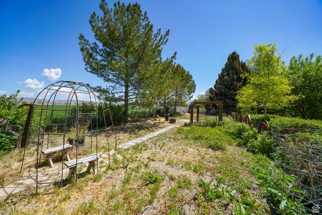 View of yard | Image 24