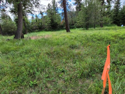 NHN Mossy Rock Ct, Thompson Falls, MT, 59873 | Card Image