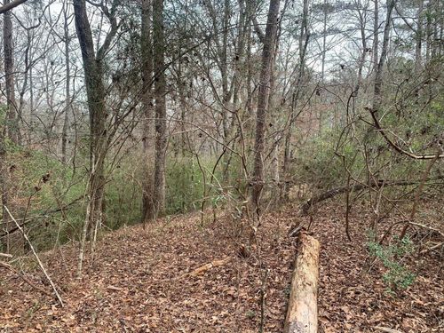 0 Griffin Cir, Westville, FL, 32464 | Card Image