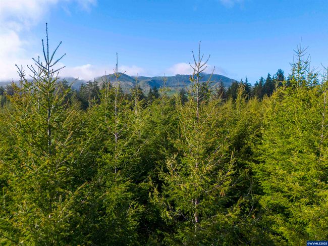 0 Elmer Miller Rd, Home with 0 bedrooms, 0 bathrooms and null parking in Siletz OR | Image 10