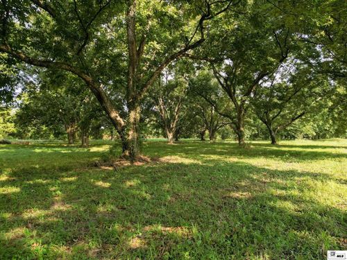 000 Highway 65 S, Tallulah, LA, 71282 | Card Image