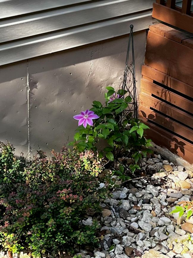 Landscaping | Image 48