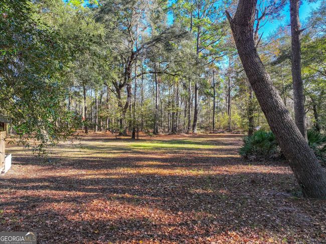 1621 St Marys River Bluff Rd, House other with 1 bedrooms, 1 bathrooms and null parking in Saint George GA | Image 19