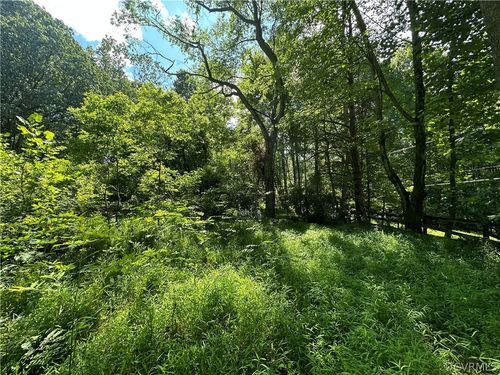 0 Bessemer Ln, Eagle Rock, VA, 24085 | Card Image