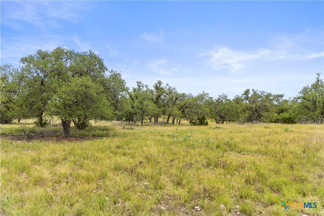 3049 Reservation Rd, Home with 0 bedrooms, 0 bathrooms and null parking in Harper TX | Image 26