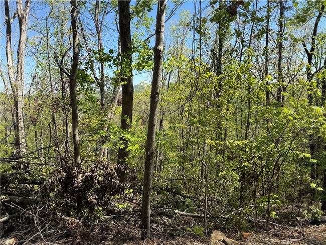 113 Stone Creek Ct, Home with 0 bedrooms, 0 bathrooms and null parking in Pickens SC | Image 8