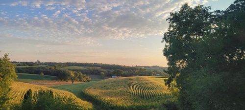 N8436 Marty Rd, New Glarus, WI, 53574-8826 | Card Image