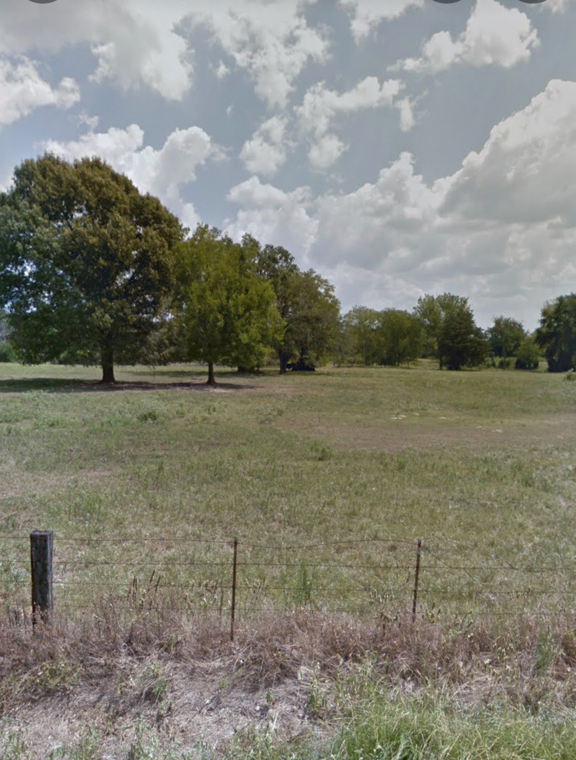 Land in Grand Saline 3