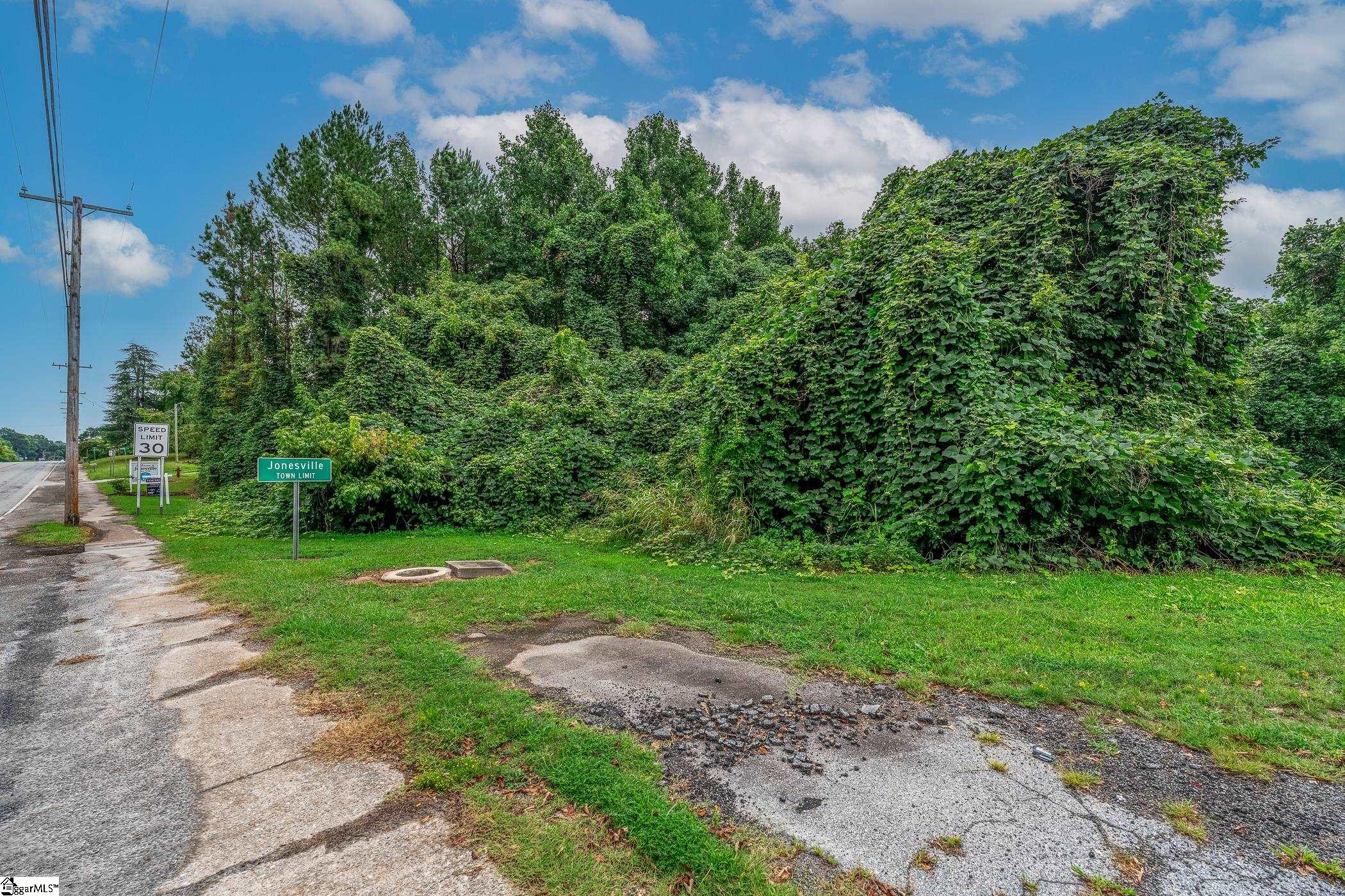 Land in Jonesville 5