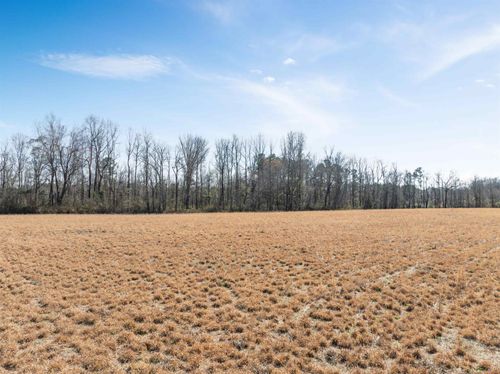 Lot 4 Sheila Dr, Johnsonville, SC, 29555 | Card Image