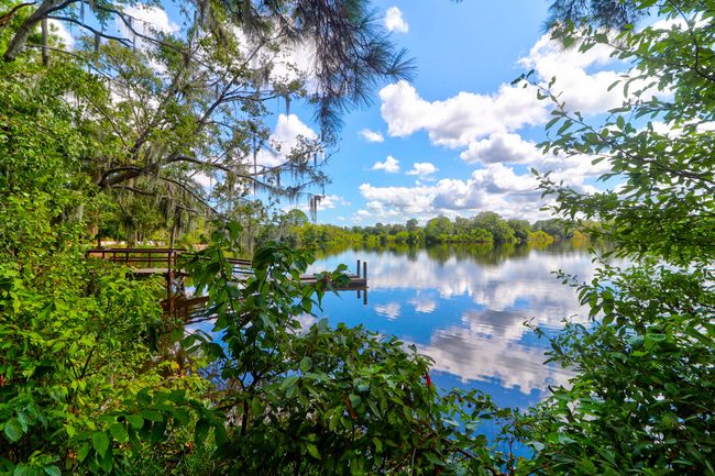 1888 Nola -Tidalcreekphoto- (64) | Image 65
