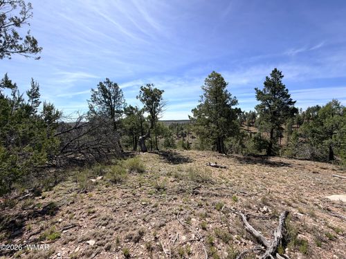 5088 Morning View Drive, Happy Jack, AZ, 86024 | Card Image