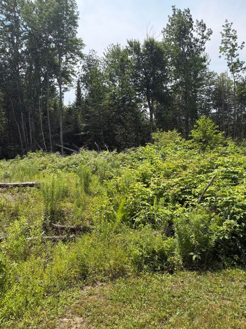 M6L23-4 Pinewood Dr, Corinth, ME, 04427 | Card Image