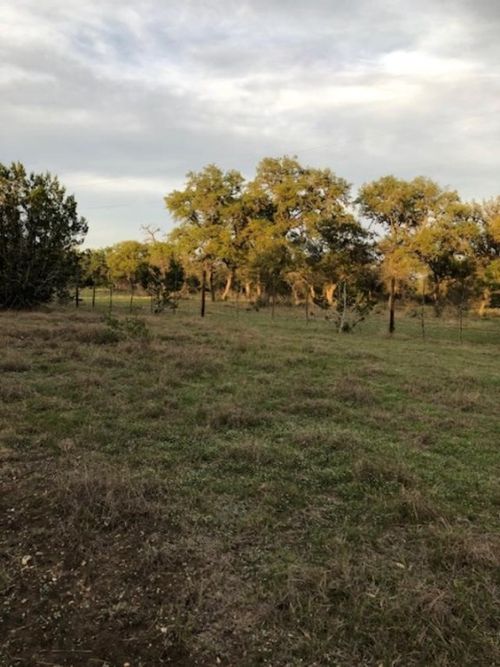40 EF Whitetail Run, Uvalde, TX, 78801 | Card Image