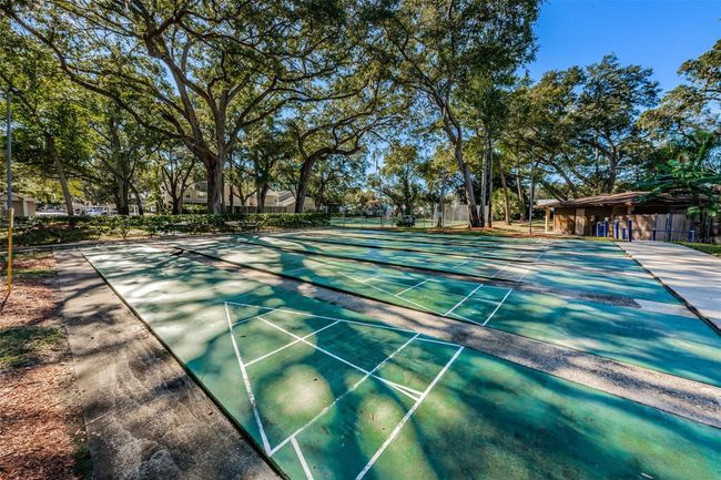 Community shuffleboard court | Image 50