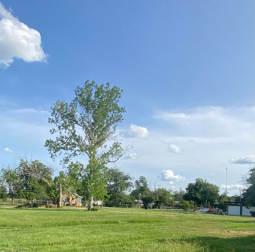 1701 Dallas St, Brownwood, TX, 76801-1401 | Card Image