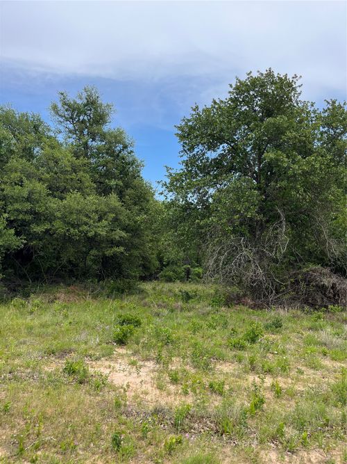 Lot 96 Kilkenny Rd, Poolville, TX, 76487 | Card Image