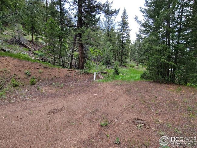 1 Mountain Lion Track Court, Home with 0 bedrooms, 0 bathrooms and null parking in Livermore CO | Image 11