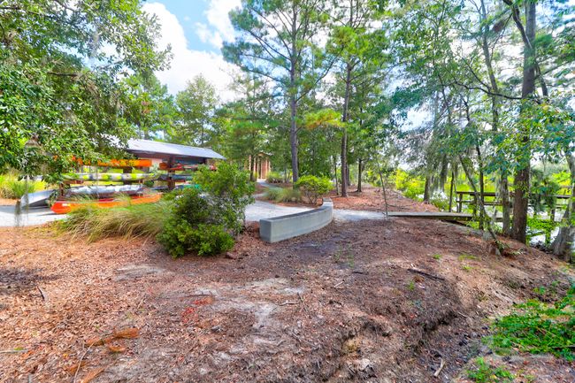 1888 Nola -Tidalcreekphoto- (65) | Image 67