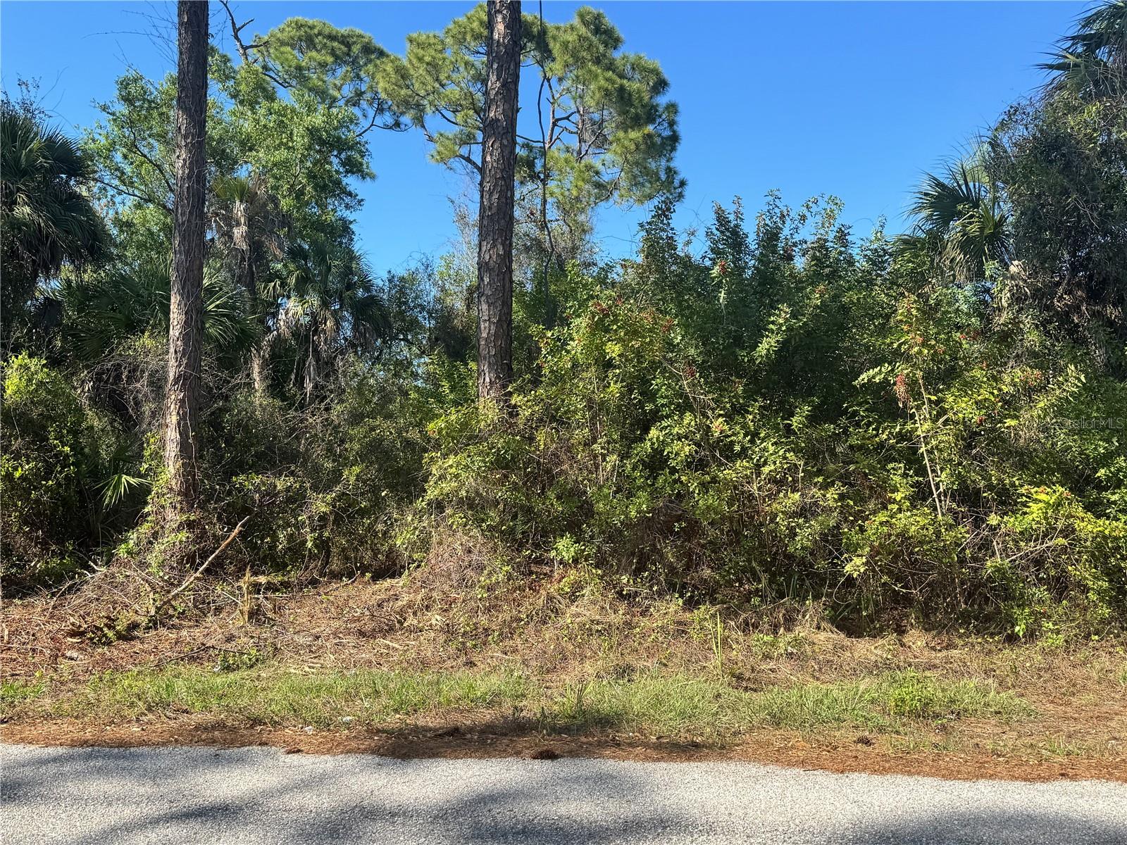 Land in PORT CHARLOTTE 2