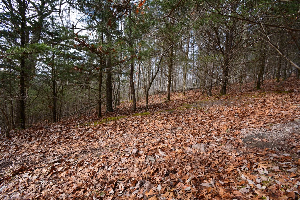 Land in Pounding Mill 4