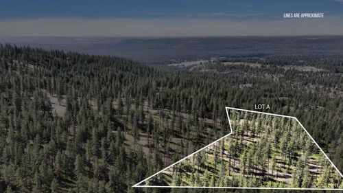 NKA Lower Weaver Lot A Way, Deer Park, WA, 99006 | Card Image