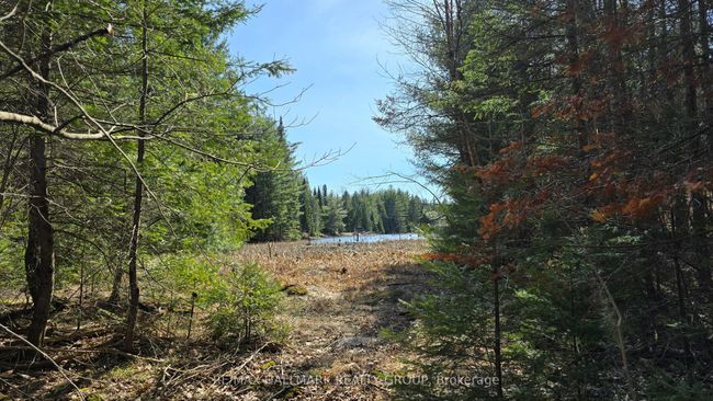 0000 Calabogie Rd, Home with 0 bedrooms, 0 bathrooms and null parking in Burnstown ON | Image 17