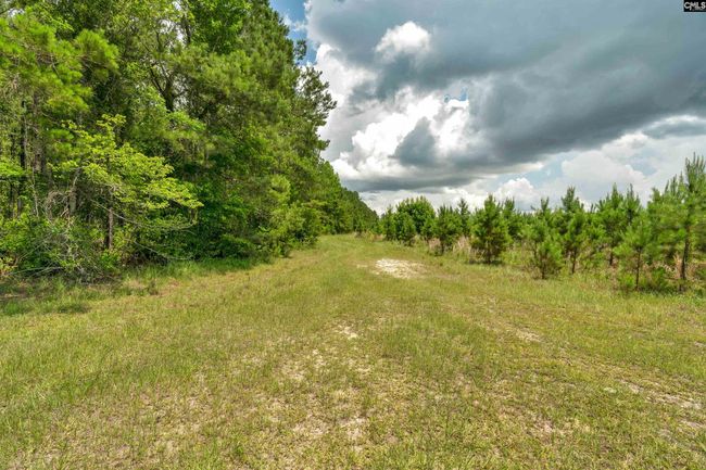 0000 N Brewington Rd, Home with 0 bedrooms, 0 bathrooms and null parking in Manning SC | Image 65