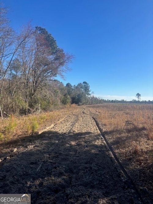 0 Starfish Ln, Lyons, GA, 30436 | Card Image