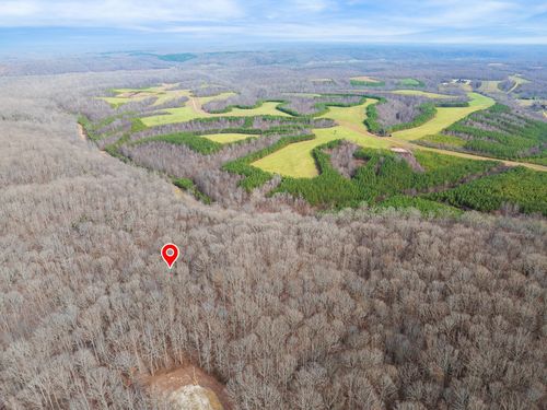 0 Wild Daisy Ct, Hurricane Mills, TN, 37078 | Card Image