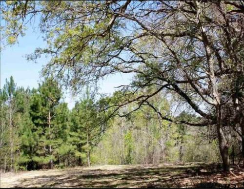 19201 Hwy 110, Whitehouse, TX, 75791 | Card Image