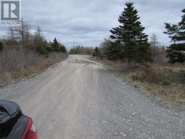 45 New Line Road, Home with 0 bedrooms, 0 bathrooms and null parking in Colliers NL | Image 48