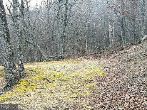 Lot 5 Preserve Rd, New Creek, WV, 26743 | Card Image