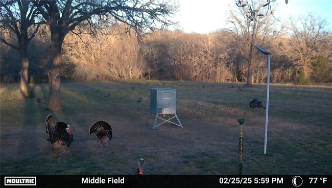 View of property's community | Image 18