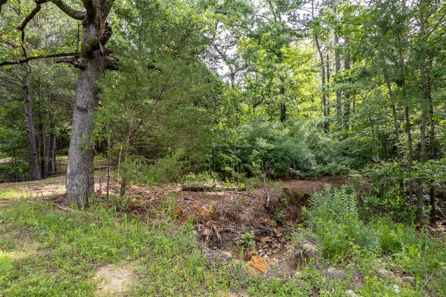 0 Johnson Rd, Home with 0 bedrooms, 0 bathrooms and null parking in Winona TX | Image 10