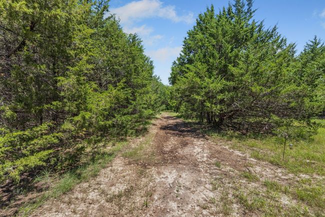 Trail leading to large pond! | Image 20