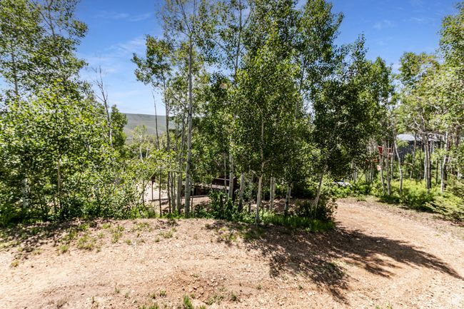 View of yard | Image 41
