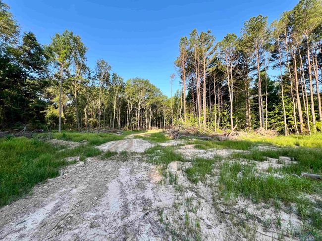 2735 Brandy Rd, Home with 0 bedrooms, 0 bathrooms and null parking in New Diana TX | Image 15