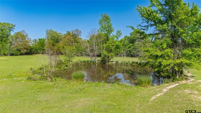 72 Acres N Farm Road 900, Home with 0 bedrooms, 0 bathrooms and null parking in Saltillo TX | Image 12