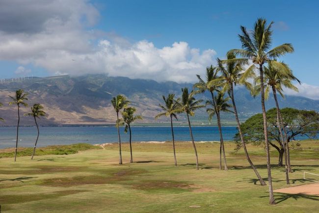 APT-523 - 938 S Kihei Rd, Condo with 1 bedrooms, 1 bathrooms and null parking in Kihei HI | Image 43